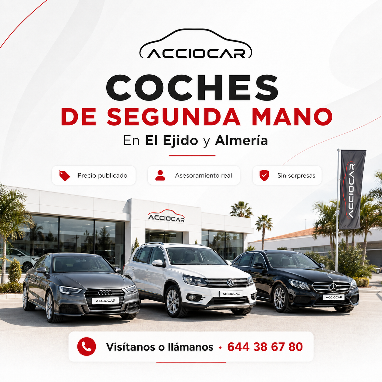 SEAT de segunda mano en Almería